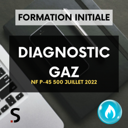 Formation Gaz NF P45-500...